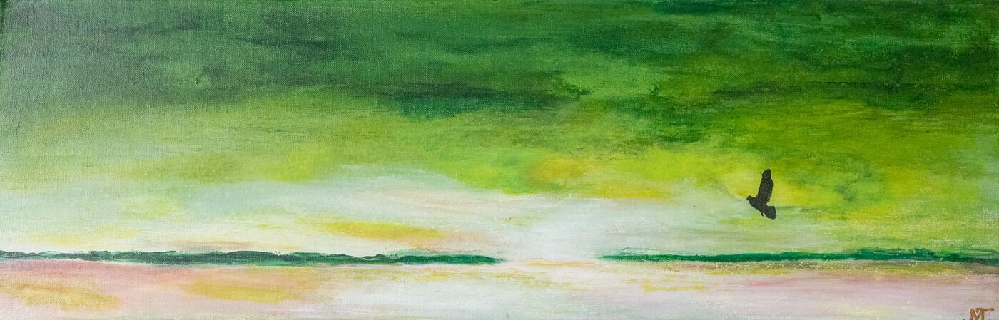 Bild Nr. 23 – Hoffnungsschimmer